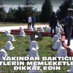 Çanakkale Şehitliğinden Görüntüler